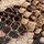 Maude Snake Print Mules - Image 7